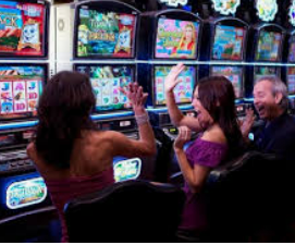 新kiyaun网页版登录手机版