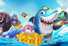 新kiyaun网页版登录免费版